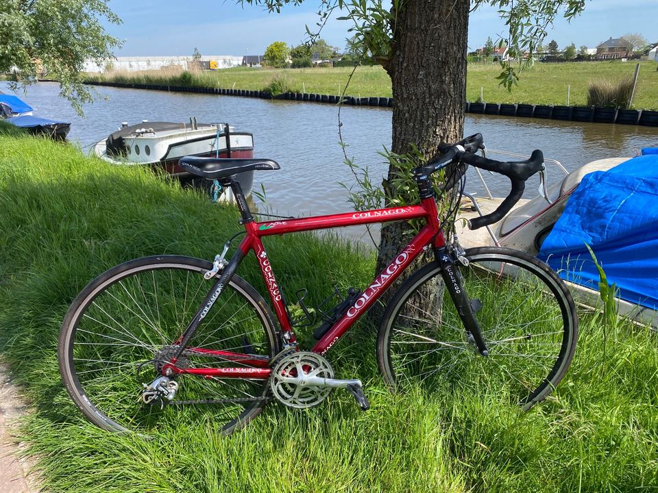 Colnago Active Rennrad rot candyrot 54cm Campagnolo Alu Carbon in Hamburg