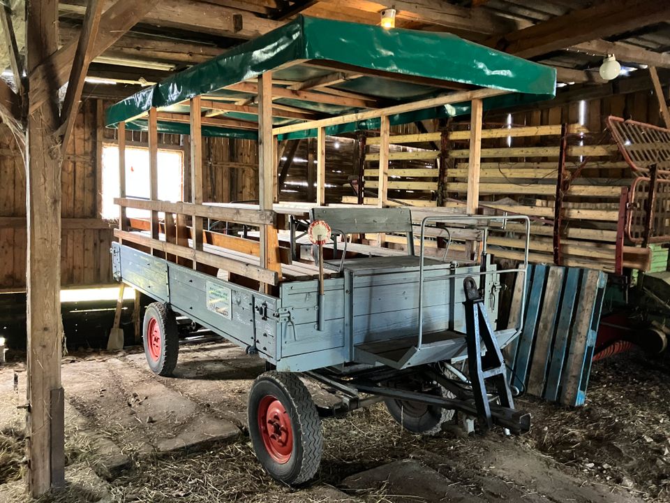 2 St. Kremser Pferdewagen Kipper Kutsche Wirtschaftswagen in Olbernhau