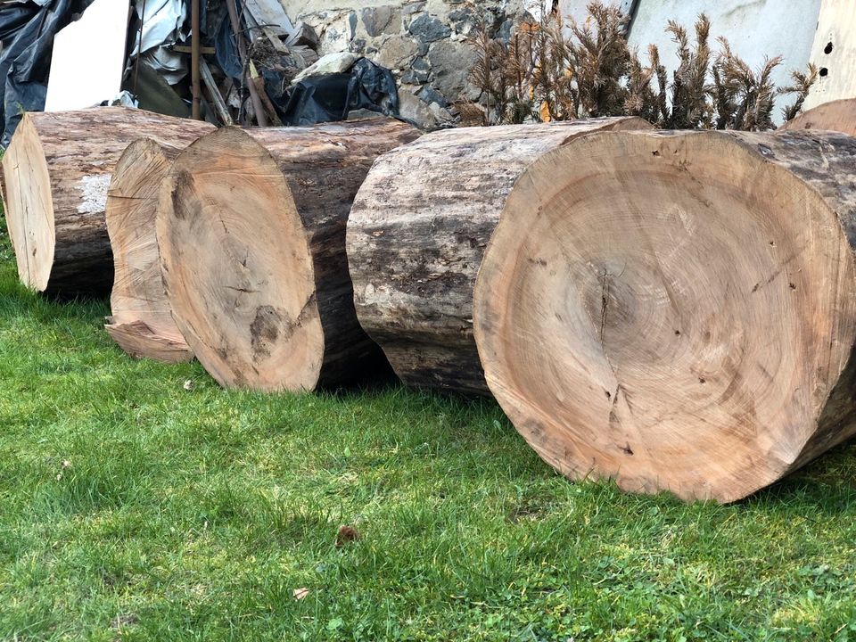 Kaminholz Tisch Eiche Eichenstamm Holz Baumscheiben Möbel xxl in Wurzen