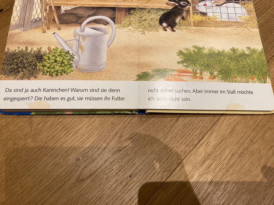 Ich bin das kleine Kaninchen Großausgabe Maxi selten Gerda Mulle in Prutting