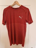 Puma Sportshirt Baden-Württemberg - Zell am Harmersbach Vorschau