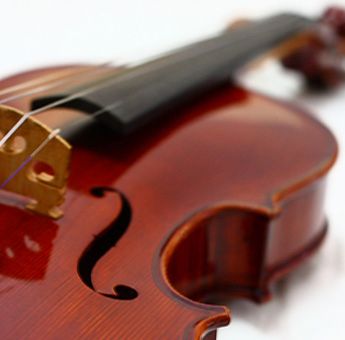 Geigenunterricht: Geige / Violine, Bratsche / Viola in Berlin