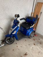 Rolektro E-Trike 25 Nordrhein-Westfalen - Bergkamen Vorschau