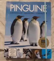 Pinguine, Lebensraum, Nahrung, Verhalten Schleswig-Holstein - Lübeck Vorschau