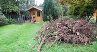 Gartenabfall Laub Entsorgen, Grünschnitt Entsorgung, Baumschnitt Berlin - Köpenick Vorschau