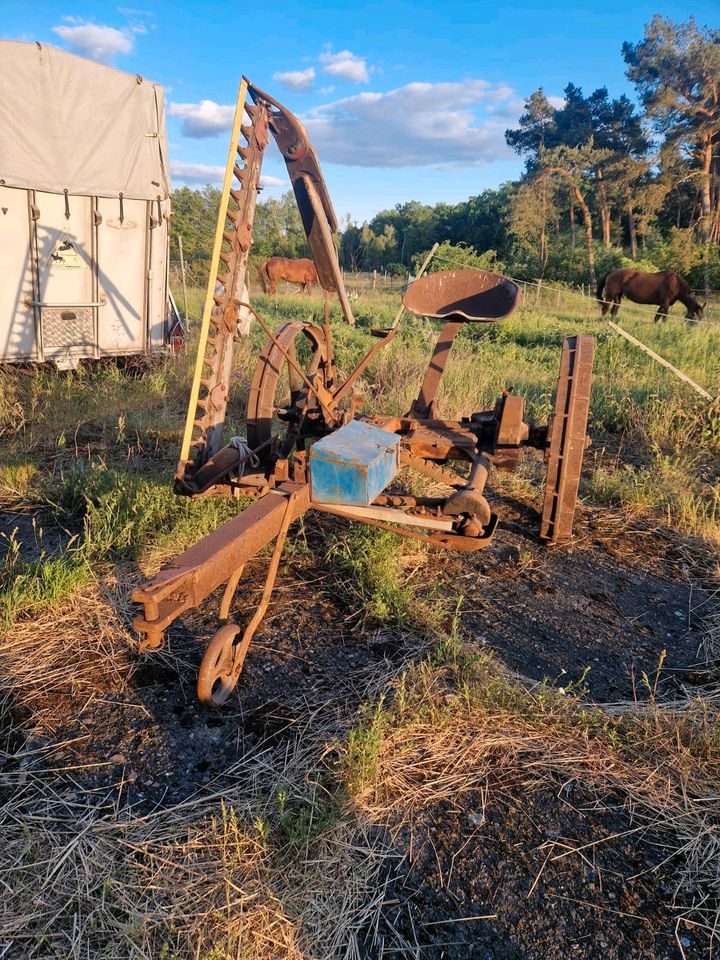 Fella Rasa Rex K Mähwerk in Brandenburg an der Havel