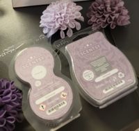 Scentsy Shimmer Bar Wachs Pod Raumduft Sachsen - Schkeuditz Vorschau