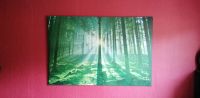 Leinwand-Bild Wald / 120 x 80 cm Nordrhein-Westfalen - Ahlen Vorschau
