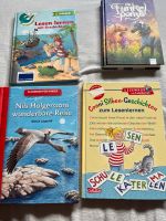 Kinderbücher Conny Schleswig-Holstein - Rendsburg Vorschau