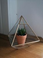 Pflanzen-Terrarium | Glas | Gold | Skandi | Hygge | Nordic Hessen - Nidda Vorschau
