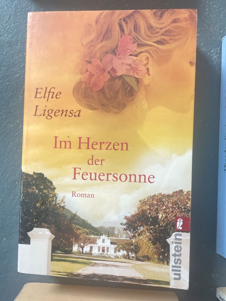 Fontane Piper Bücher Romane Bestseller Buch Taschenbücher in Kassel