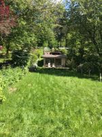 Kleingarten in Grünenplan zu verkaufen Niedersachsen - Delligsen Vorschau