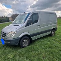 Sprinter Mercedes Benz  310 cdi /Transporter Nordrhein-Westfalen - Beelen Vorschau