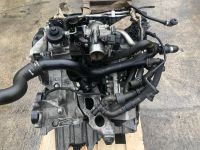 MOTOR CAG 79TKM✔️Mit Anbauteile 2.0TDI AUDI A4 A5 A6 Q5 SEAT EXEO Hannover - Bothfeld-Vahrenheide Vorschau