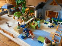 Playmobil Tierklinik 4343, 4346, 6949 Sachsen - Penig Vorschau