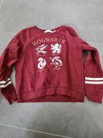 Swearshirt Rot Potter Gr 170 H&M Nordrhein-Westfalen - Herford Vorschau