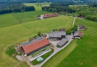 Suchen dringend einen resthof in Weyhe oder 50km Entfernung Niedersachsen - Delmenhorst Vorschau