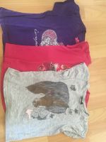 Set Paket 3 T-Shirts 110 Pferd Glitzer Europa-Park Leipzig - Plagwitz Vorschau