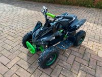 LIEFERBAR Python 1000W Elektro Kinderquad Mini E Quad Kinder Rheinland-Pfalz - Zweibrücken Vorschau