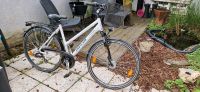 Damenfahrrad DANCELLI Livorno Trapez 52 cm Stuttgart - Hedelfingen Vorschau