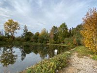 +Suche+ Teich/Weiher/See zur Pacht/Pachtgemeinschaft um Leipzig Leipzig - Leipzig, Zentrum Vorschau