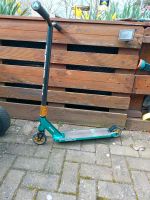 Apollo Stuntscooter Sachsen-Anhalt - Salzwedel Vorschau