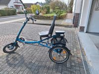 E Bike Dreirad Pfau Tec Rheinland-Pfalz - Roxheim Vorschau