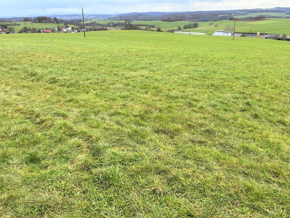 Grünland, Ackerland und Wald in Windeck in Windeck