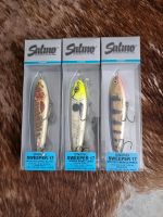 SALMO SWEEPER 17CM LIMITED EDITION  JERKBAIT  SWIMBAIT Nordrhein-Westfalen - Lemgo Vorschau