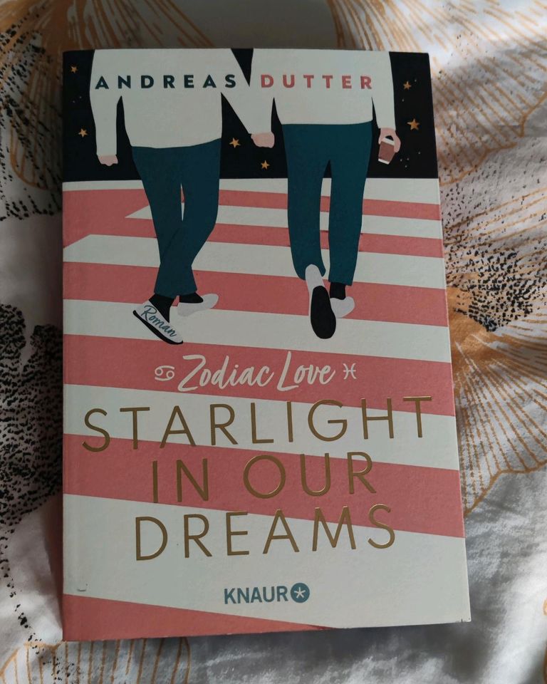 Starlight in our Dreams FARBSCHNITT [Gay Romance/New Adult] in Neubrandenburg