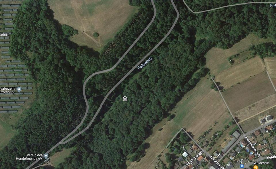 Wald/Wiesenfläche ca. 2.452m² Pirmasens (Hengsberg) zu Verkaufen! in Pirmasens