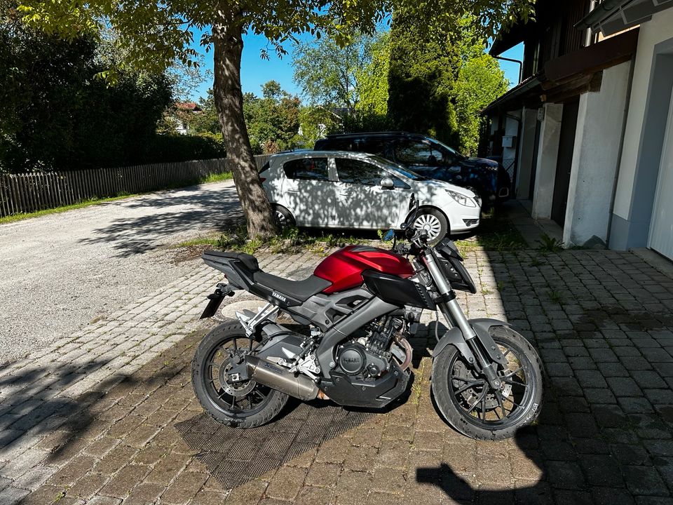 Yamaha MT 125 in Dießen