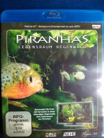 Piranhas Aquarium, Background Entertainment blu-ray disc Schleswig-Holstein - Tangstedt  Vorschau