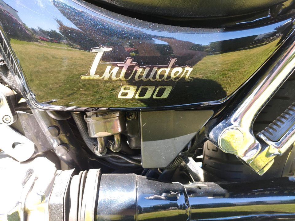 Wunderschöne Suzuki 800 Intruder in Bielefeld