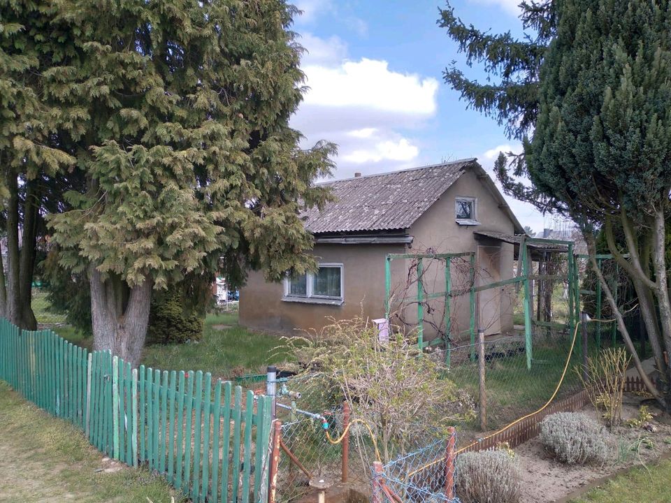 Garten Grundstück 600 m2 mit Haus in Brandenburg Frankfurt (Oder