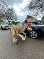 Velociraptor Atrociraptoros T-Rex Dinosaurier Dino  Freizeitpark Baden-Württemberg - Herbolzheim Vorschau