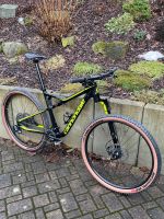 Cannondale Scalpel Gr. L Lefty Ocho MTB Mountainbike Fahrrad Rad Sachsen - Bad Schandau Vorschau