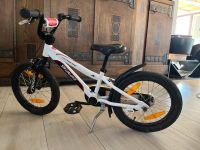 Specialized Hotrock Kinderfahrrad 16 Zoll Sachsen - Radebeul Vorschau