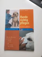 Hunde richtig pflegen Bayern - Rott am Inn Vorschau