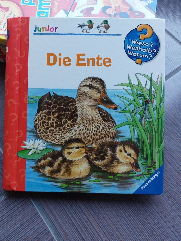 Verschiedene tolle Kinderbücher........ in Westerholt