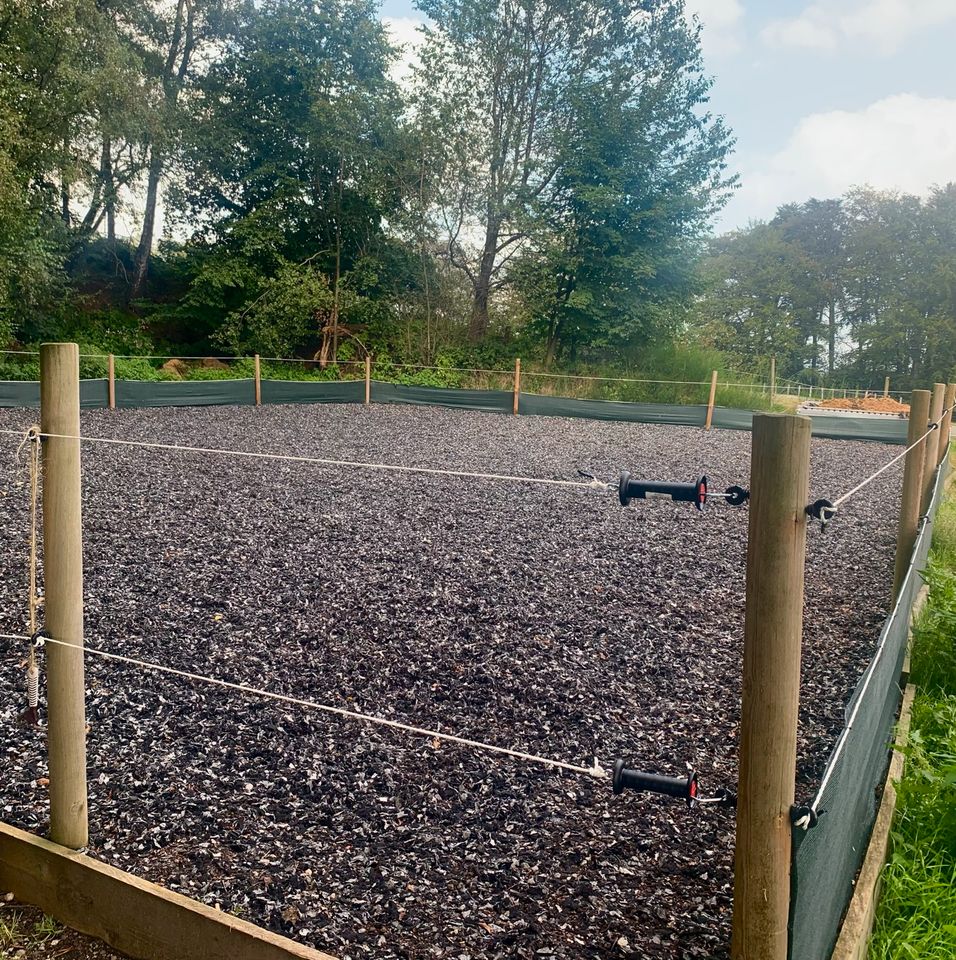 Offenstall- Platz frei für Pony!! in Hattingen