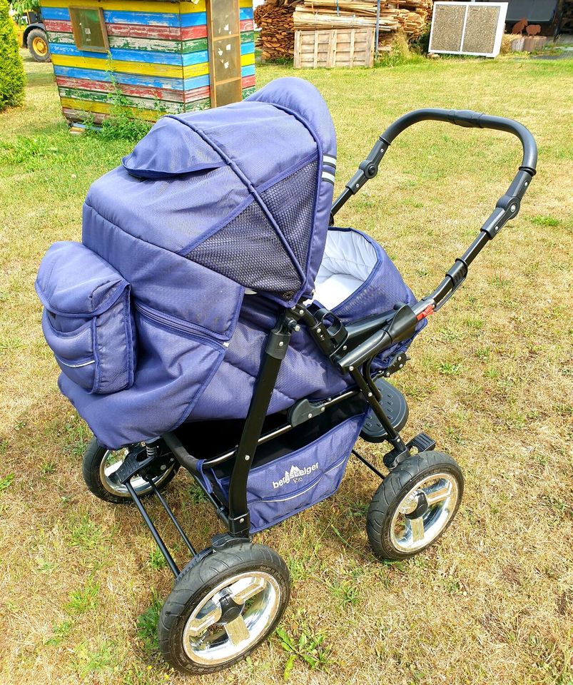 Kinderwagen Bergsteiger Rio in Erbendorf