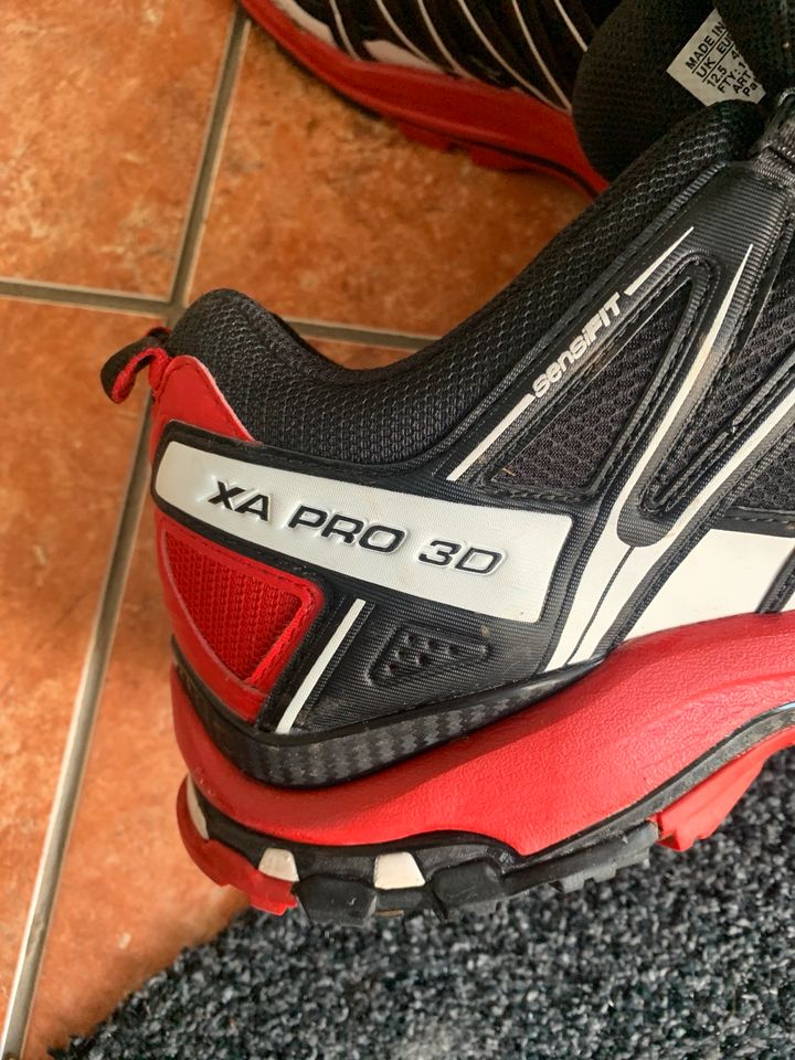 Salomon  XA Pro 3 D in Knüllwald