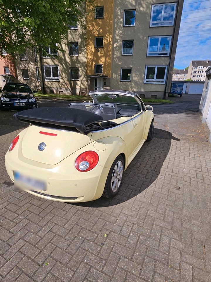 VW Beetle Cabrio in Duisburg