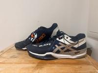 ASICS Gelblast 7 blau 42,5 bzw. 9.0 Hallenschuhe Leipzig - Leipzig, Zentrum-Ost Vorschau