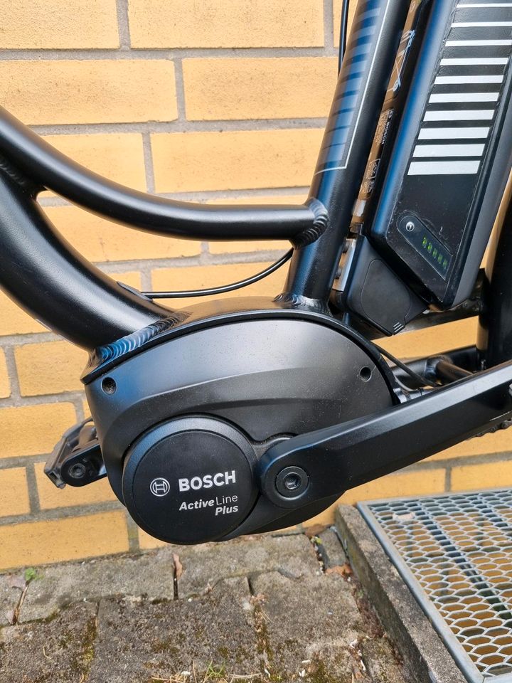 Neuwertig RALEIGH 28er, Bosch Active-line plus in Bad Bevensen