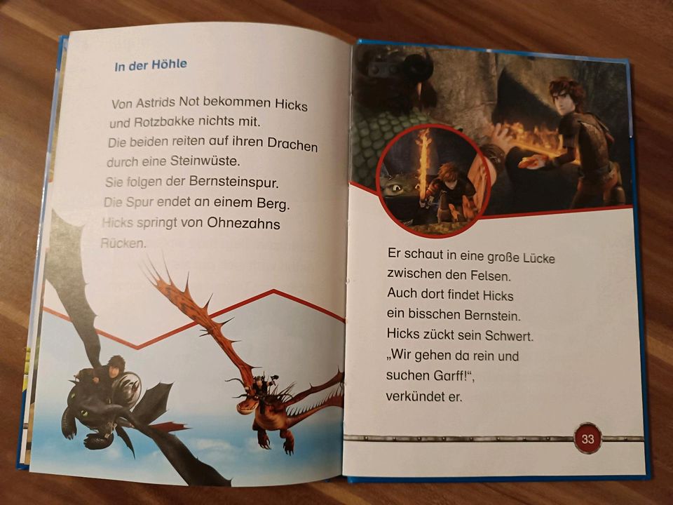 Dragons Buch in Reichenbach (Vogtland)