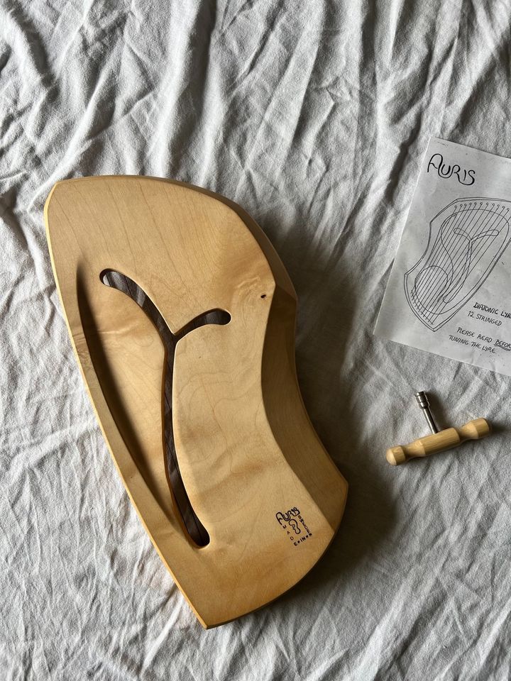 Holz-Leier/Harfe: Auris Diatonic Lyre 12 Stringed in Hof (Saale)