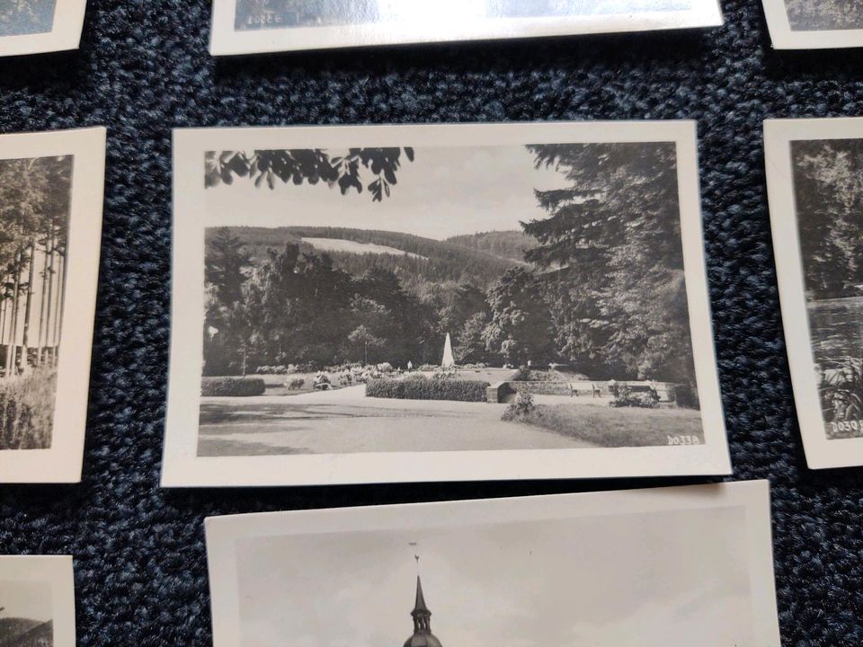 Foto Konvolut Thüringer Wald 60er Sepia Handabzug in Görlitz