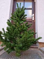 Weihnachtsbaum künstlich Sachsen - Callenberg b Hohenstein-Ernstthal Vorschau